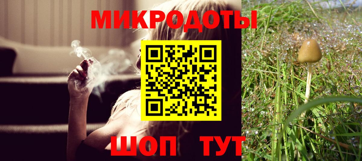 где можно купить наркотик  Вход с VPN  Каменка  Галлюциногенные грибы Magic Shrooms 